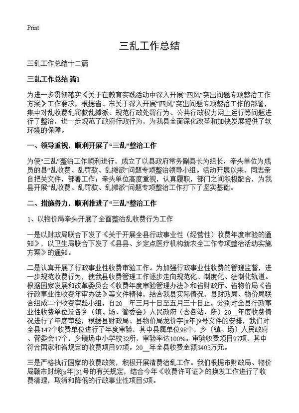 三乱工作总结