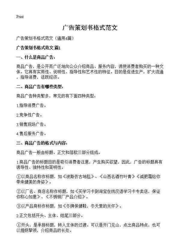 广告策划书格式范文4篇