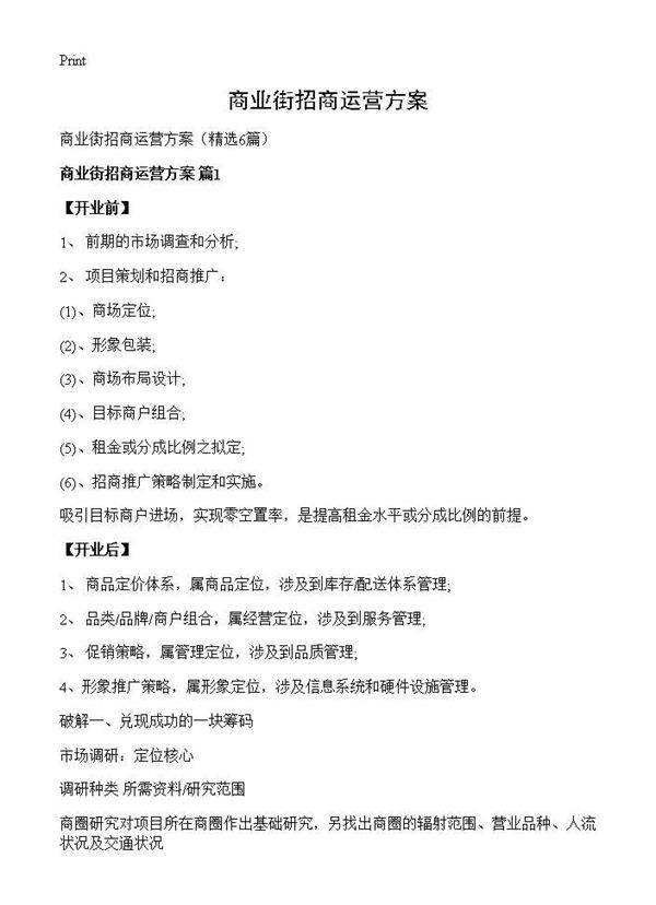 商业街招商运营方案6篇