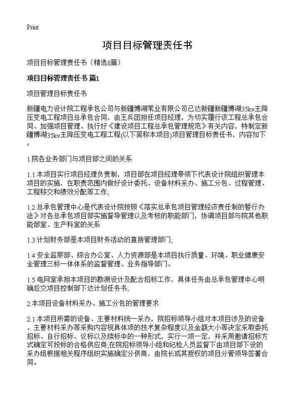 项目目标管理责任书8篇