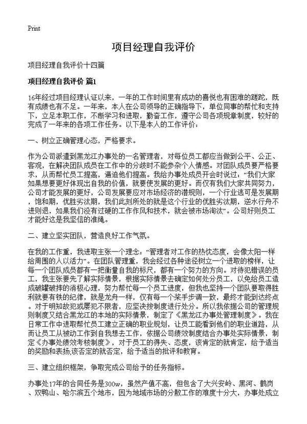 项目经理自我评价