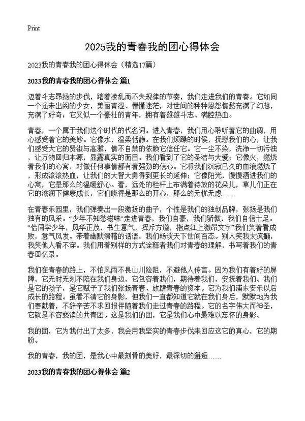 2025我的青春我的团心得体会17篇
