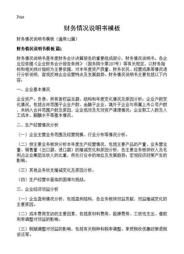 财务情况说明书模板12篇