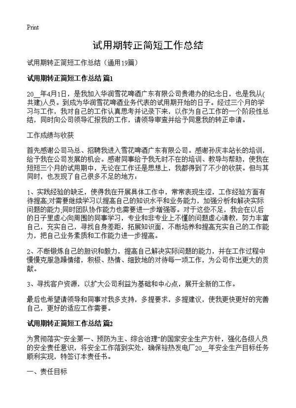 试用期转正简短工作总结19篇