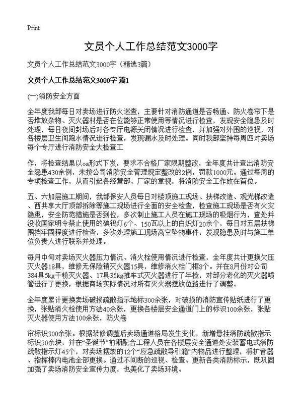 文员个人工作总结范文3000字3篇