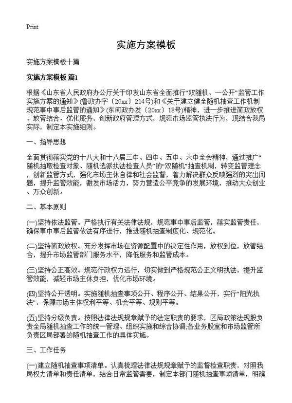 实施方案模板
