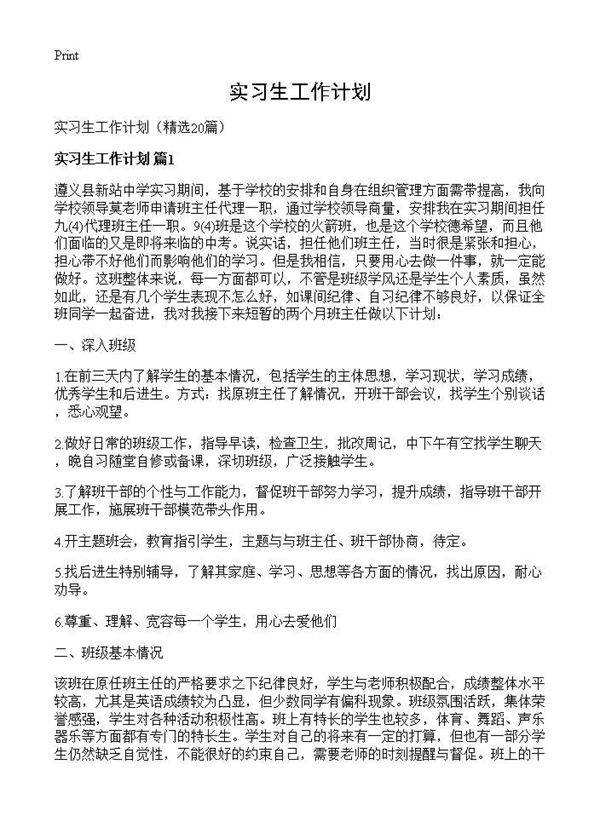 实习生工作计划20篇