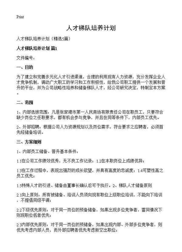 人才梯队培养计划5篇