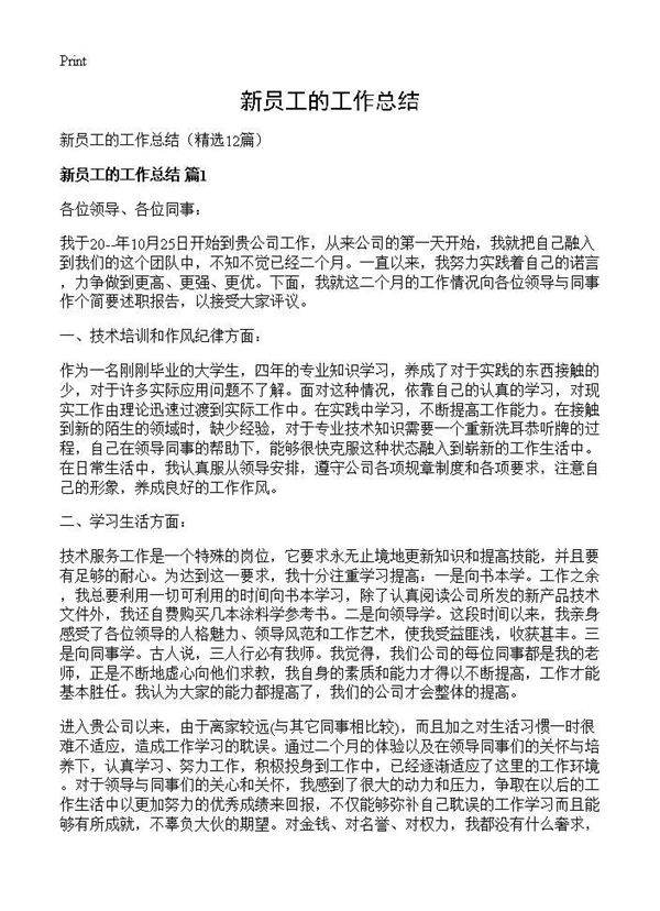 新员工的工作总结12篇