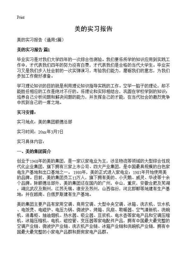 美的实习报告5篇