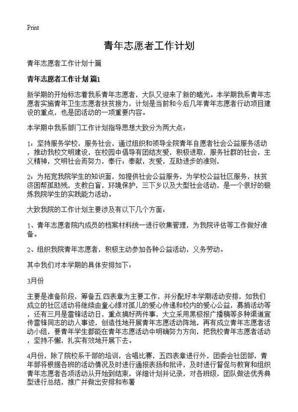 青年志愿者工作计划