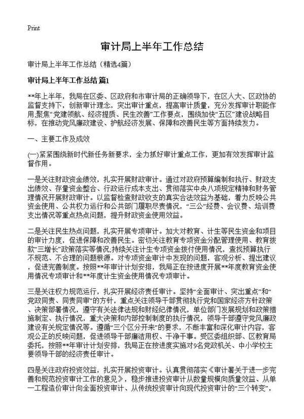 审计局上半年工作总结4篇