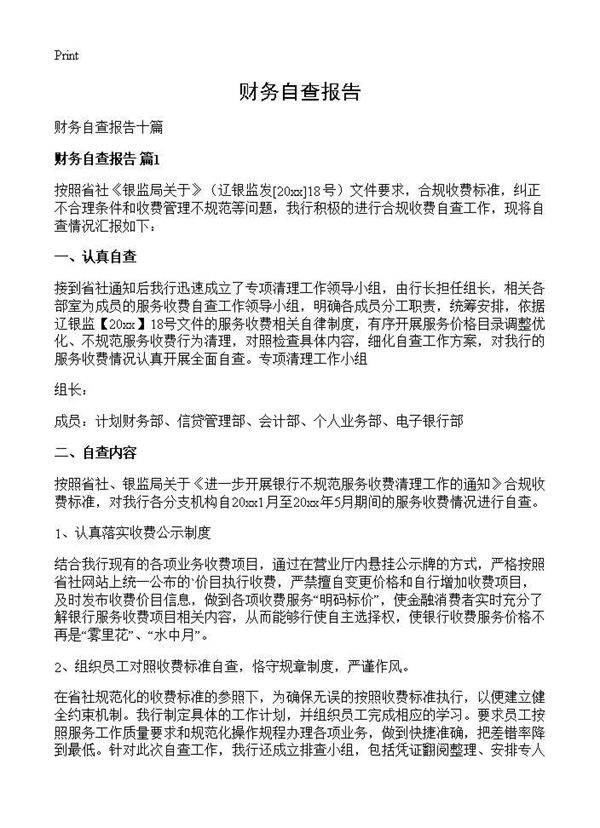 财务自查报告