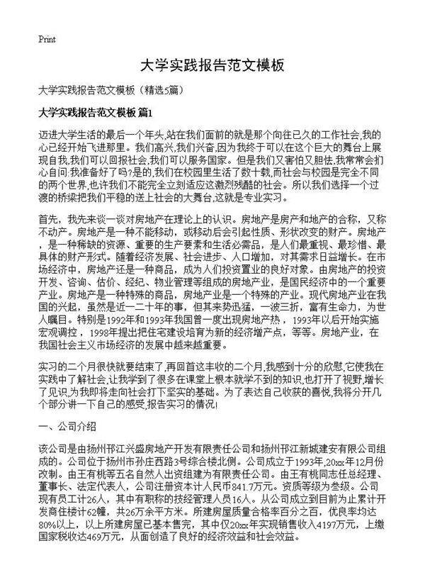大学实践报告范文模板5篇