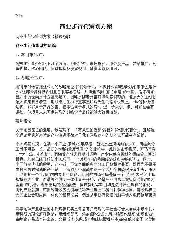 商业步行街策划方案5篇