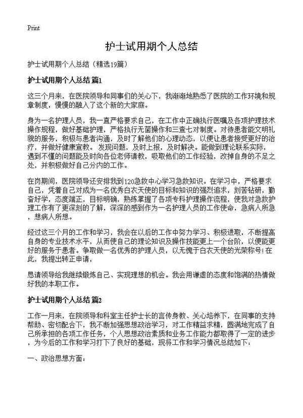 护士试用期个人总结19篇