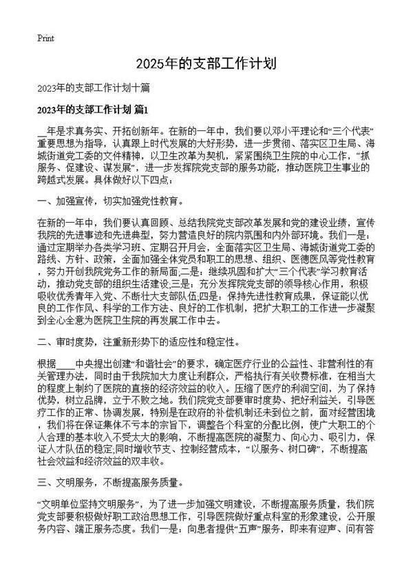 2025年的支部工作计划