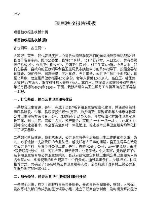 项目验收报告模板