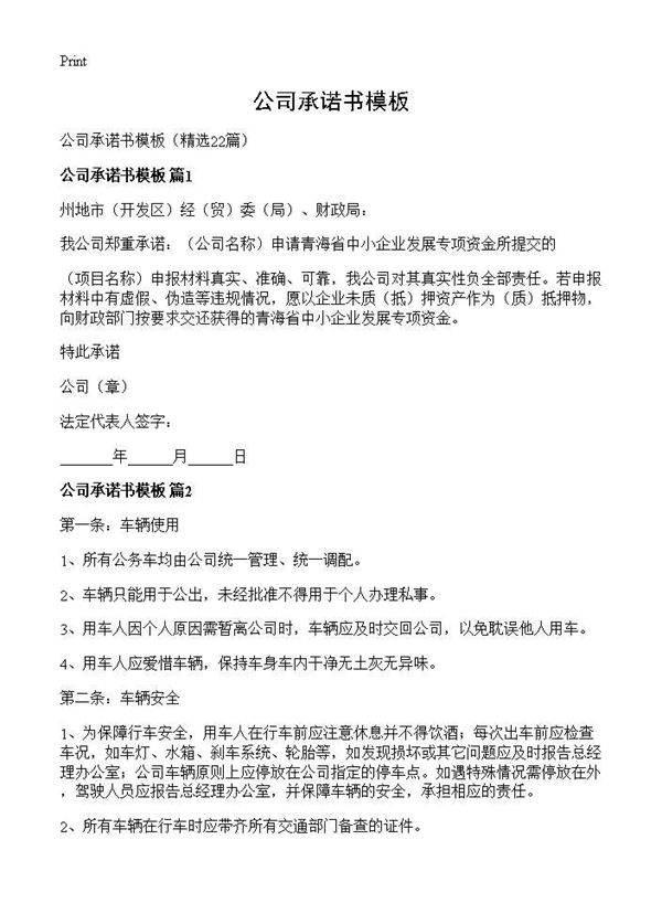 公司承诺书模板22篇