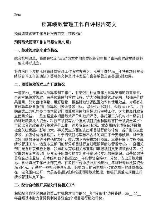 预算绩效管理工作自评报告范文5篇