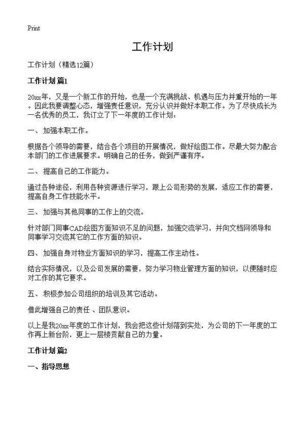 工作计划12篇