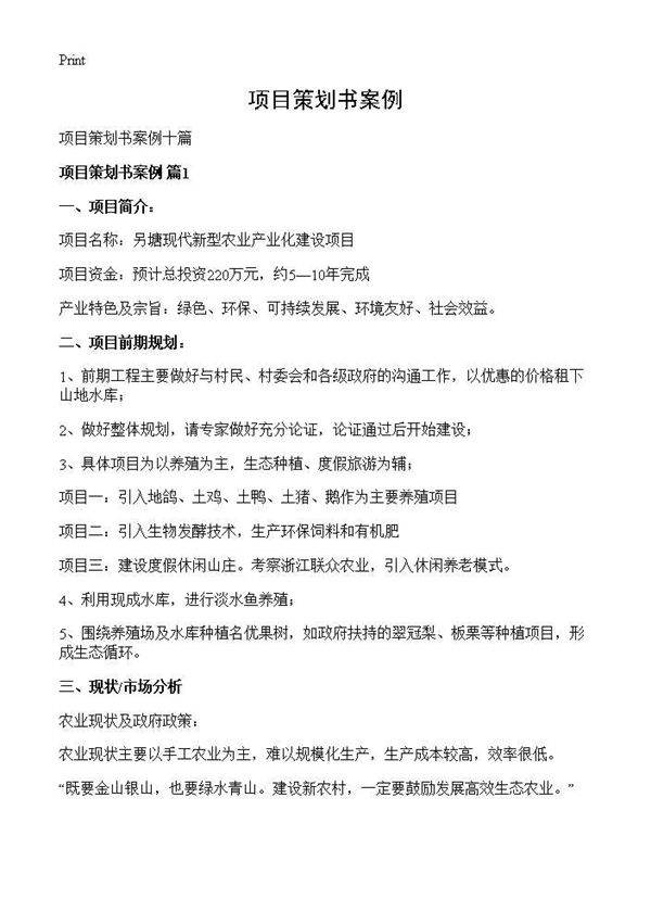 项目策划书案例