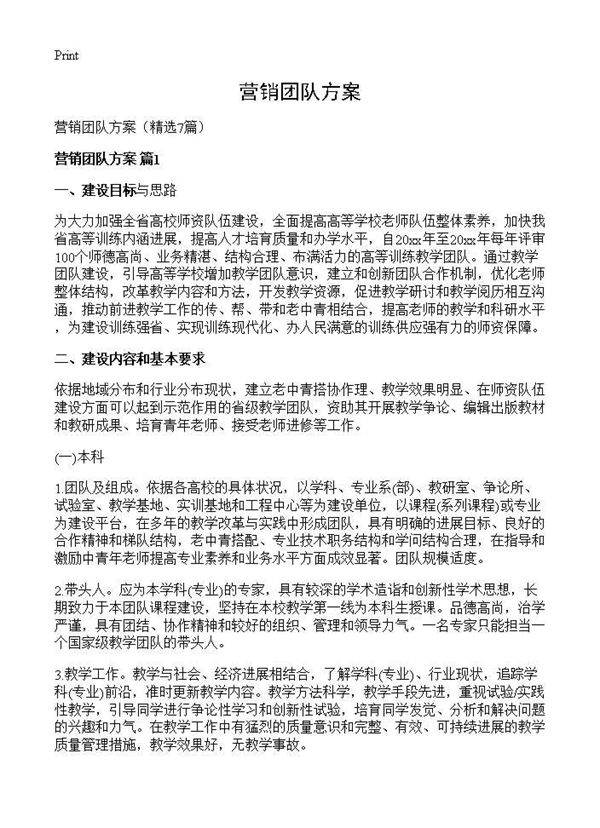 营销团队方案7篇