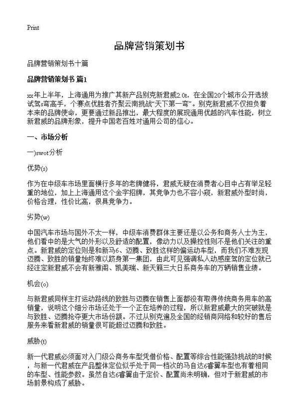 品牌营销策划书