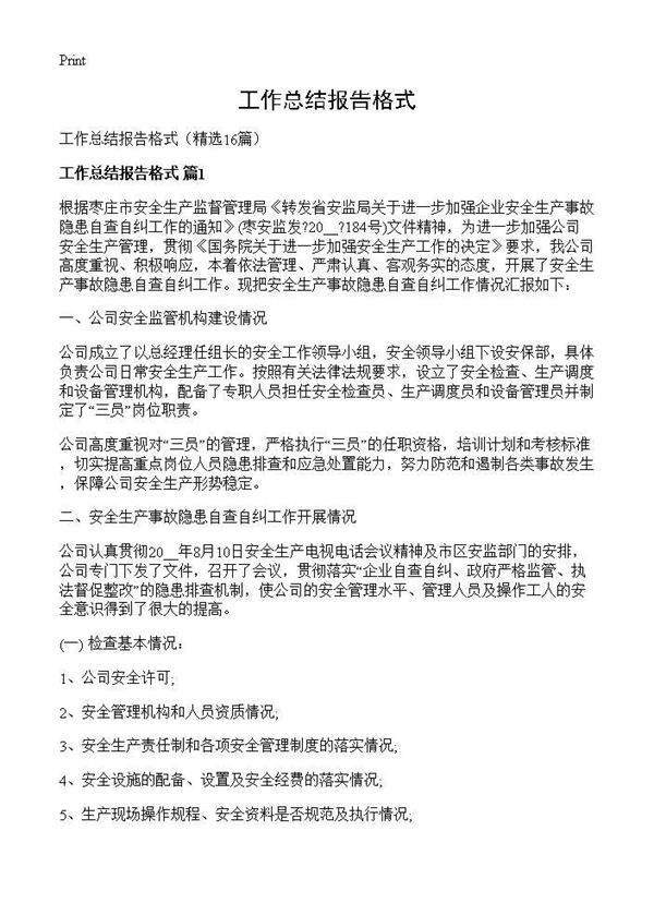 工作总结报告格式16篇