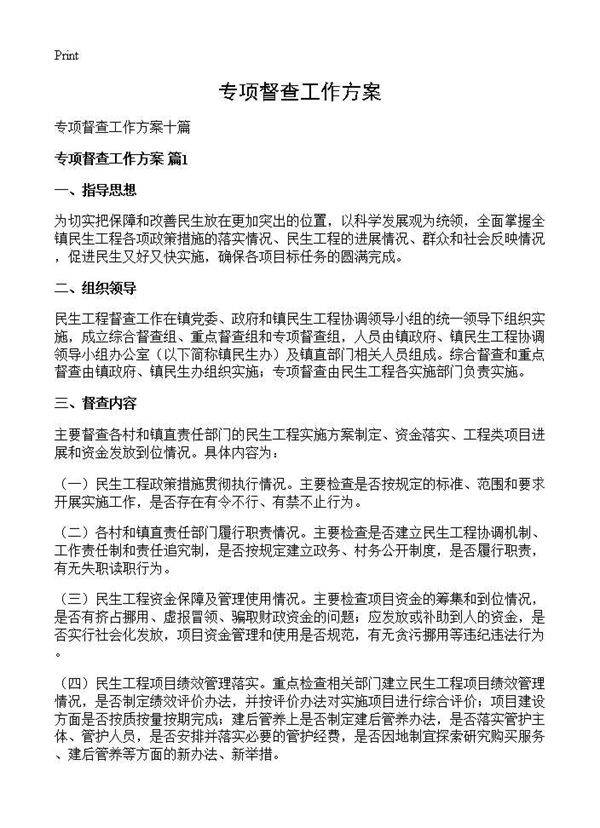 专项督查工作方案