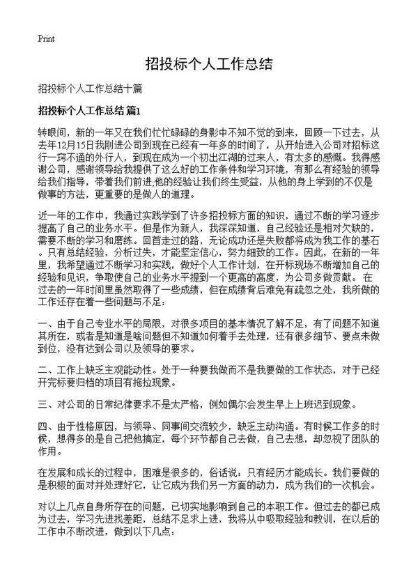 招投标个人工作总结