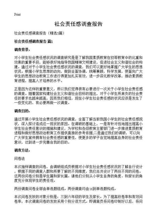 社会责任感调查报告5篇