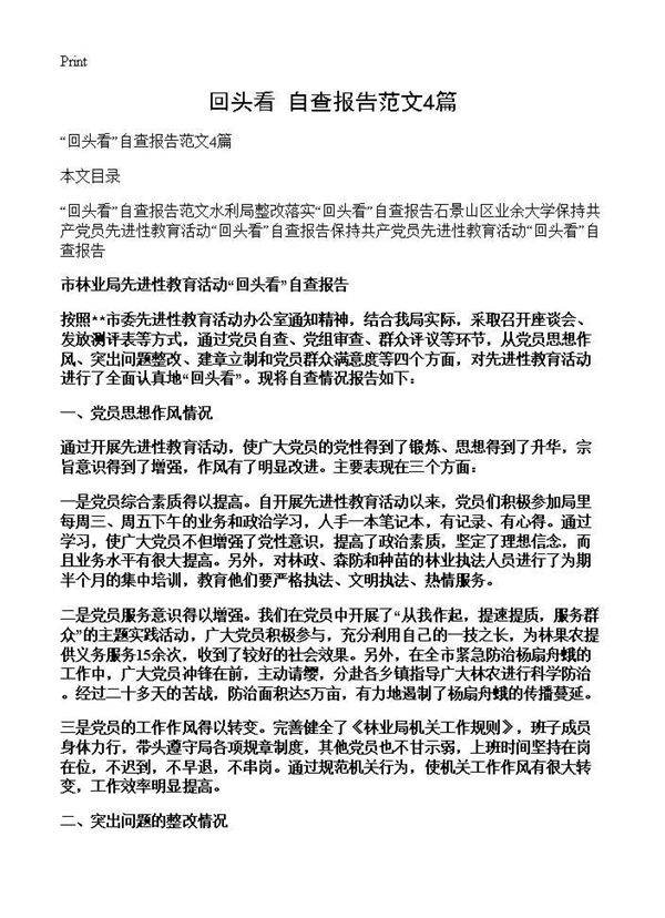 回头看自查报告范文4篇