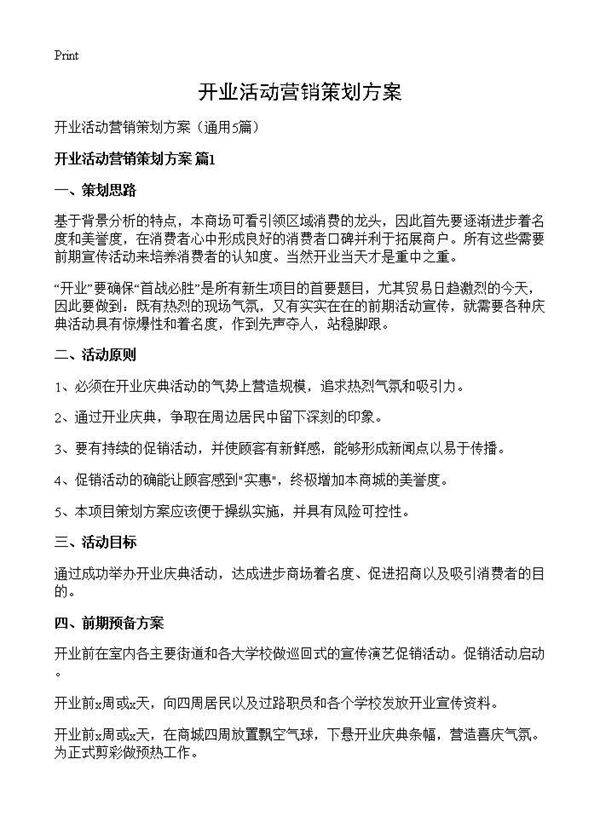 开业活动营销策划方案5篇
