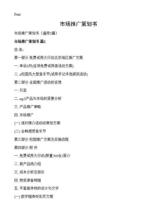市场推广策划书5篇