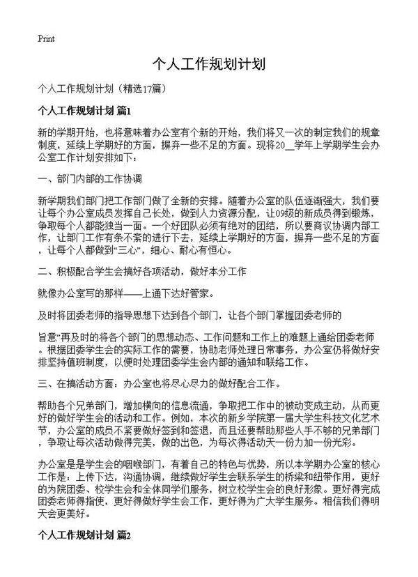 个人工作规划计划17篇