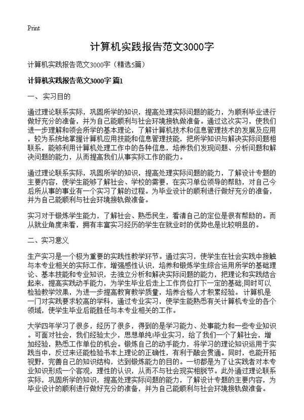 计算机实践报告范文3000字5篇