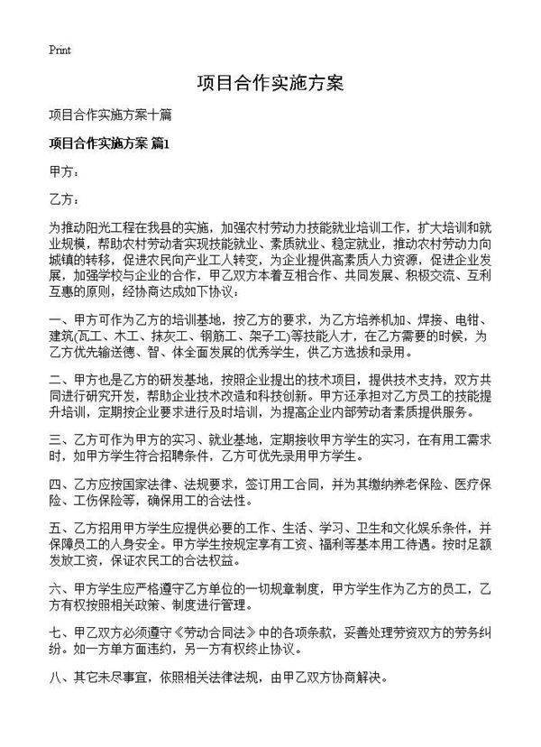 项目合作实施方案