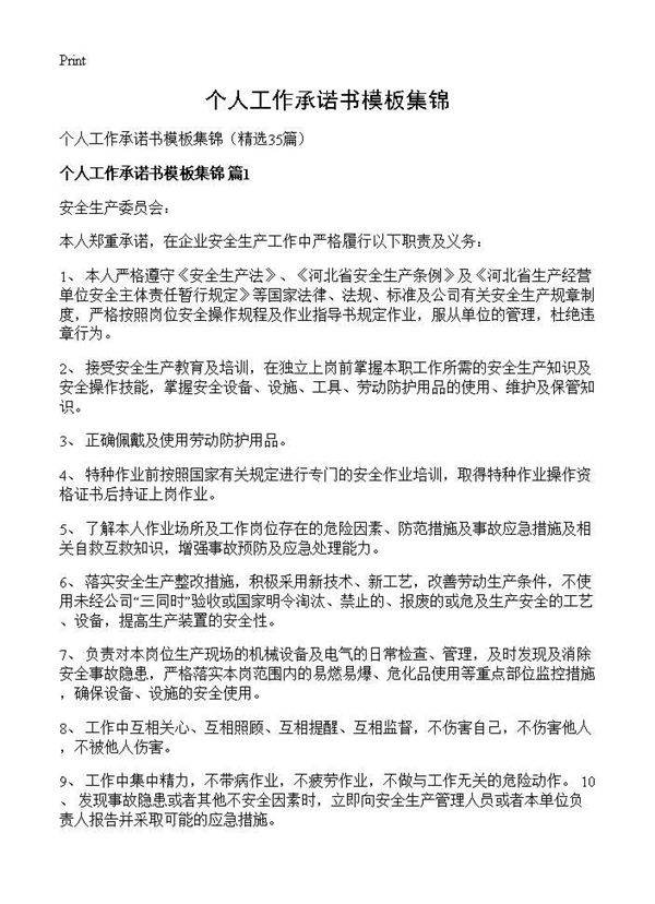 个人工作承诺书模板集锦35篇