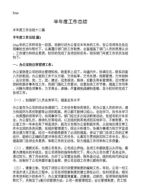 半年度工作总结