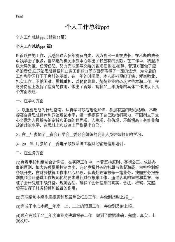 个人工作总结ppt11篇