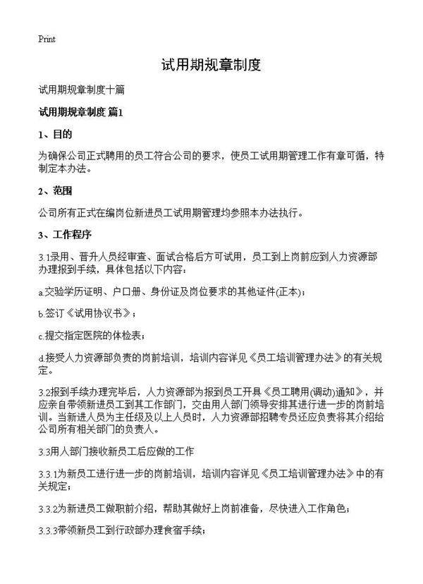 试用期规章制度