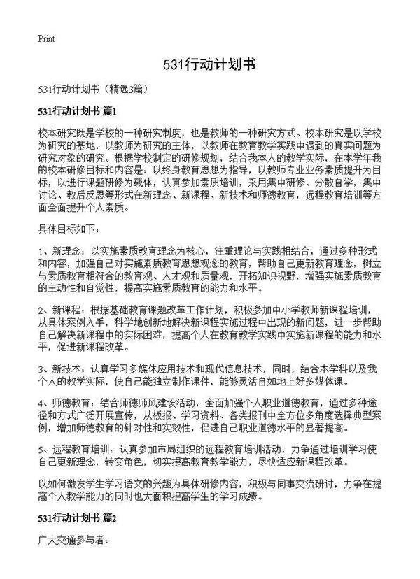 531行动计划书3篇