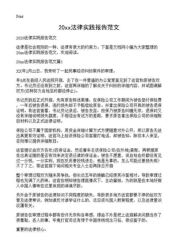 20XX法律实践报告范文