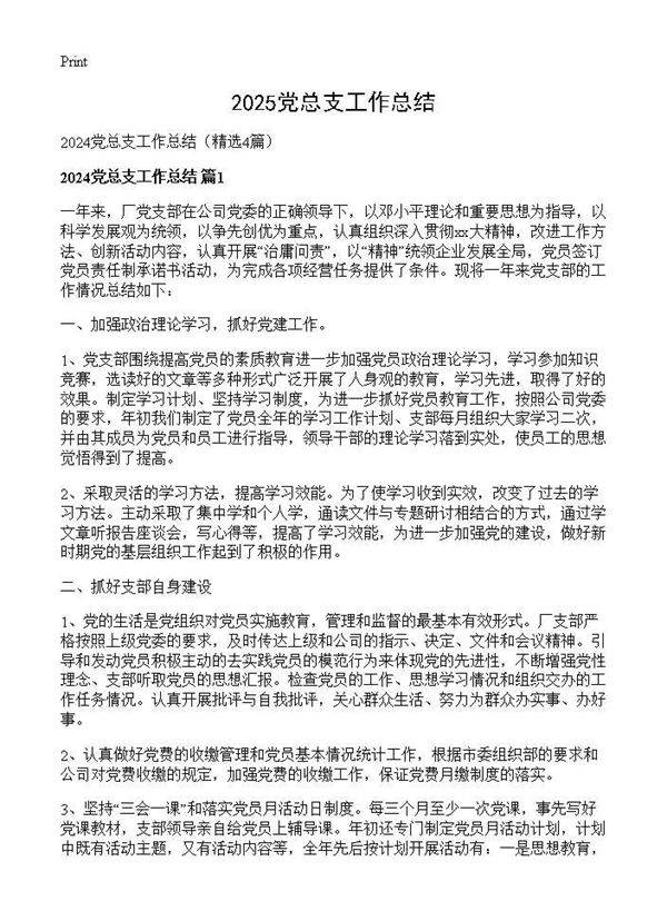 2024党总支工作总结4篇