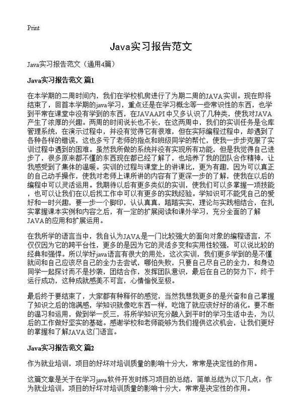 Java实习报告范文4篇