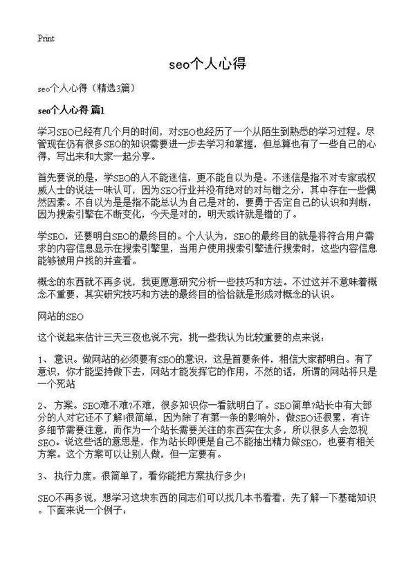 seo个人心得3篇