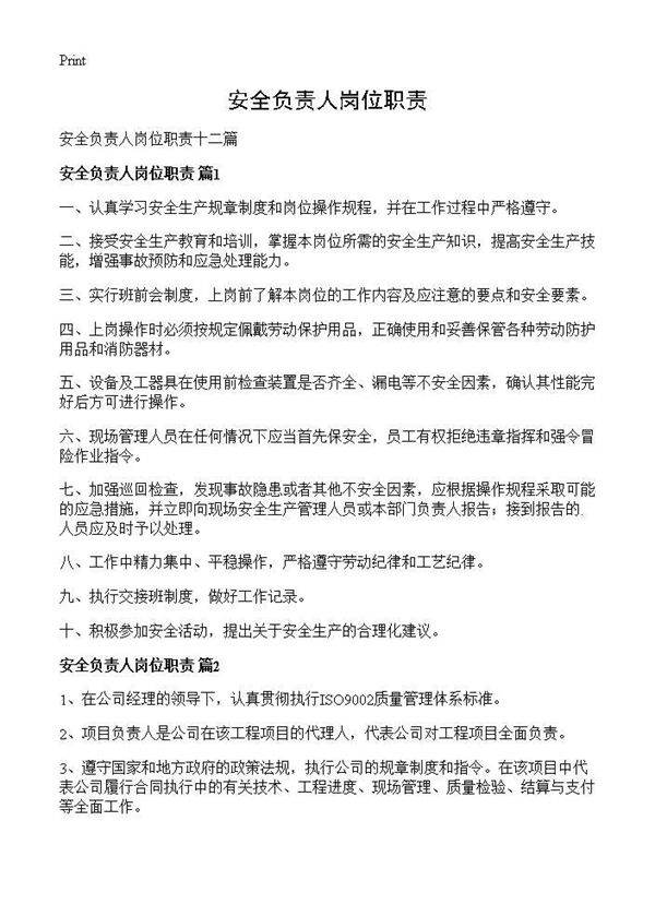 安全负责人岗位职责