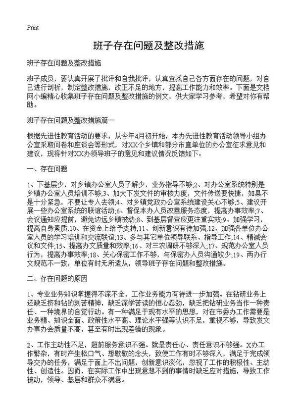班子存在问题及整改措施