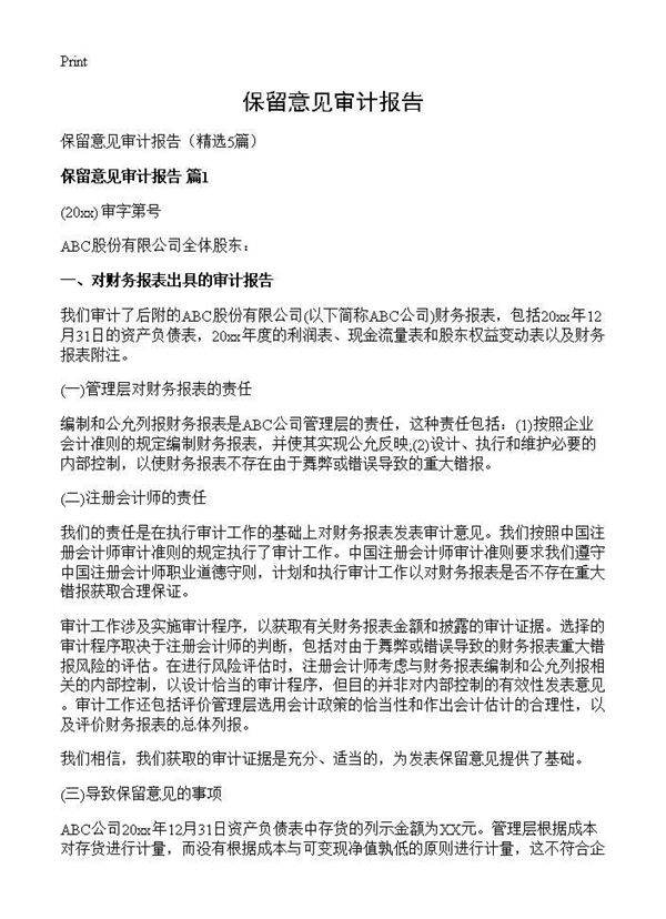 保留意见审计报告5篇